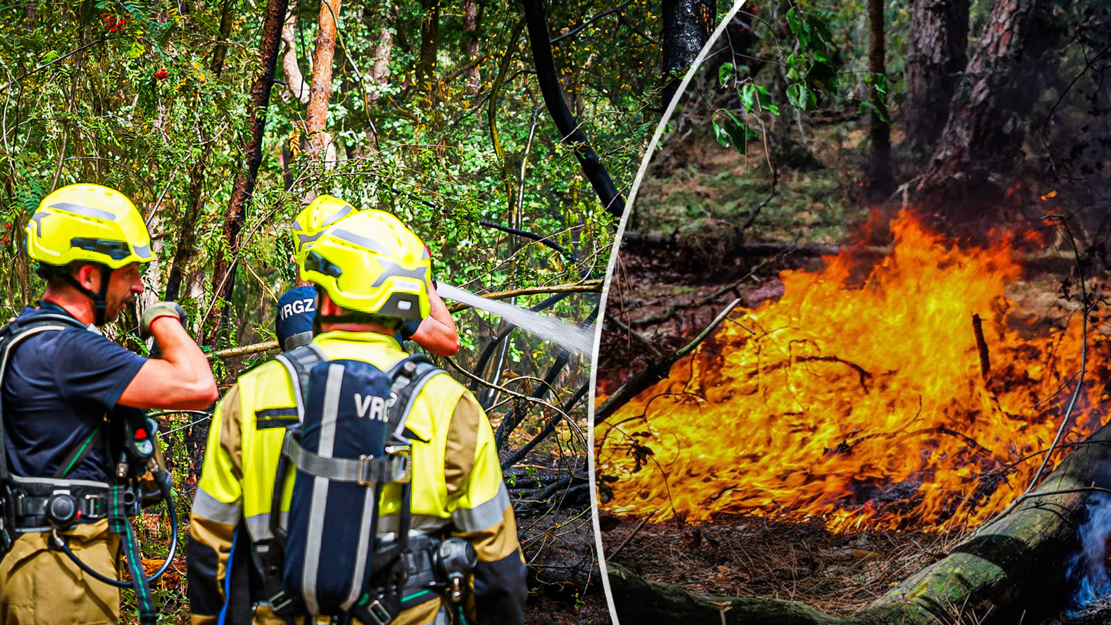 LIVE | Tweede natuurbrand slaat toe in Gelderse Wijchen: brandweer massaal uitgerukt